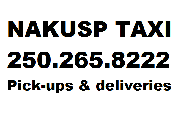 nakusp-taxi-logo.png