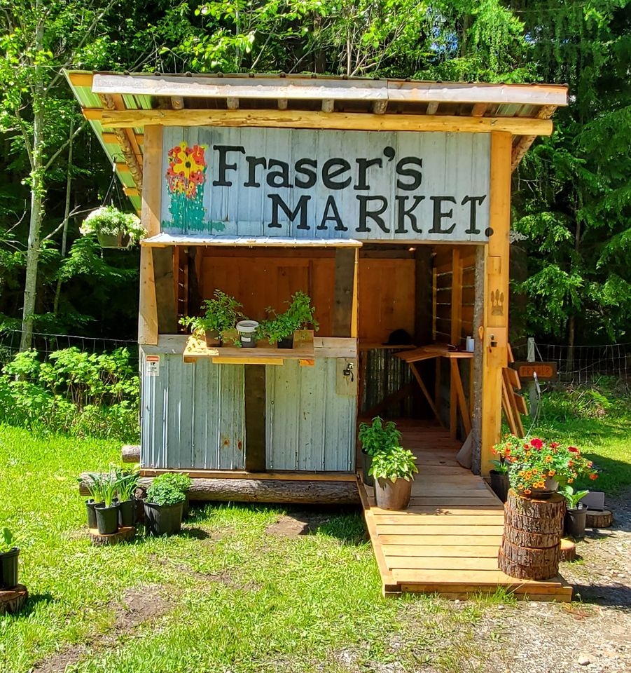 Frasers Market.jpg