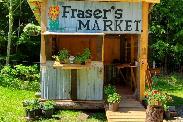 Frasers Market.jpg